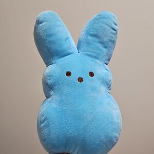 Peeps Blue Bunny with coloring book